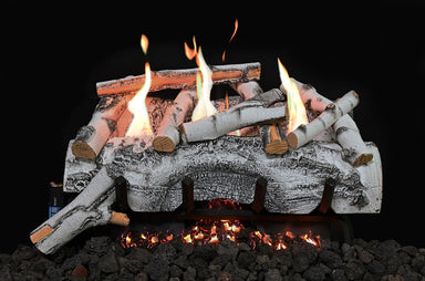 Grand Canyon Aspen Birch Ventless Gas Log Set - high quality product - fireplaces, Grand Canyon